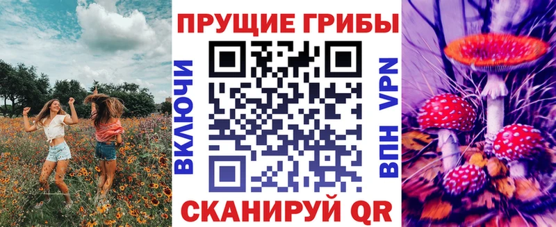 Псилоцибиновые грибы ЛСД  где найти   Белокуриха 